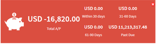 Bills & Accounts Payables