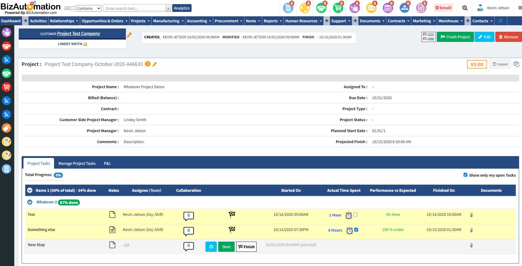 BizAutomation Project Task Performance Tracking Dashboard and Time Logs